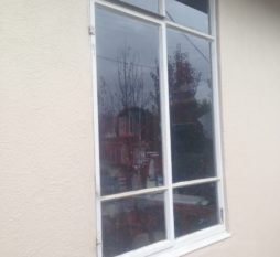 Before Timber window